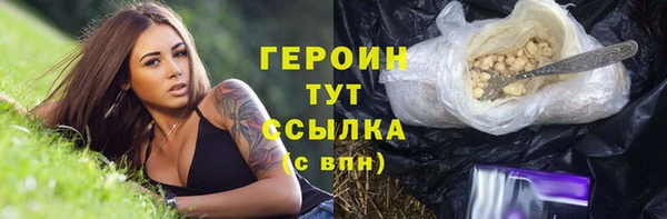 гидра Бородино