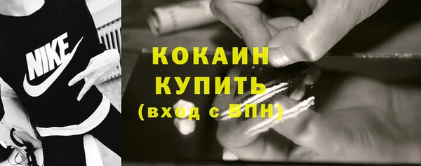гидра Бородино