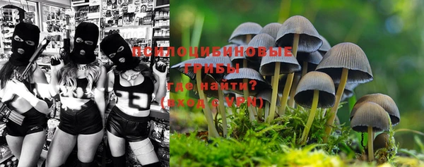 гидра Бородино