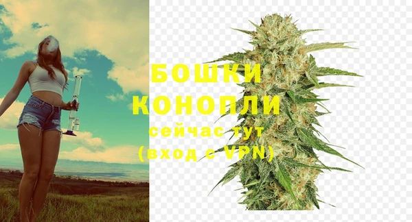 индика Верея
