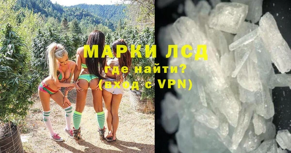 гидра Бородино