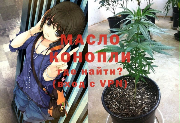 ECSTASY Покачи