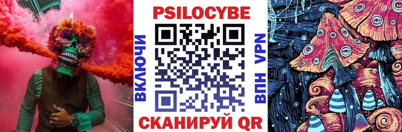 Псилоцибиновые грибы Psilocybe  Тобольск 